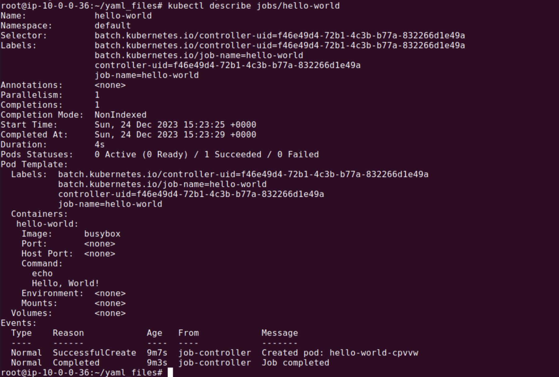 kubectl describe jobs/
