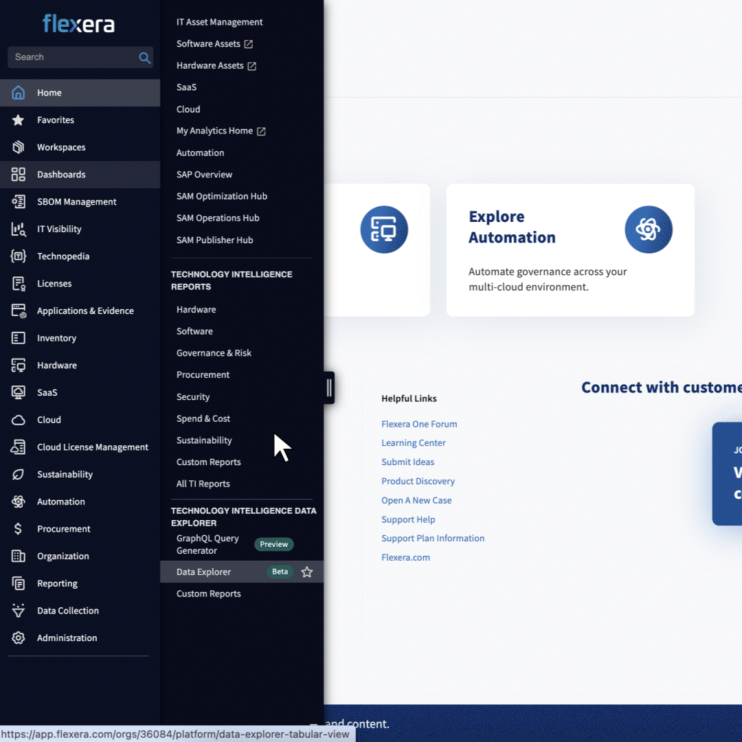 Flexera One Data Explorer