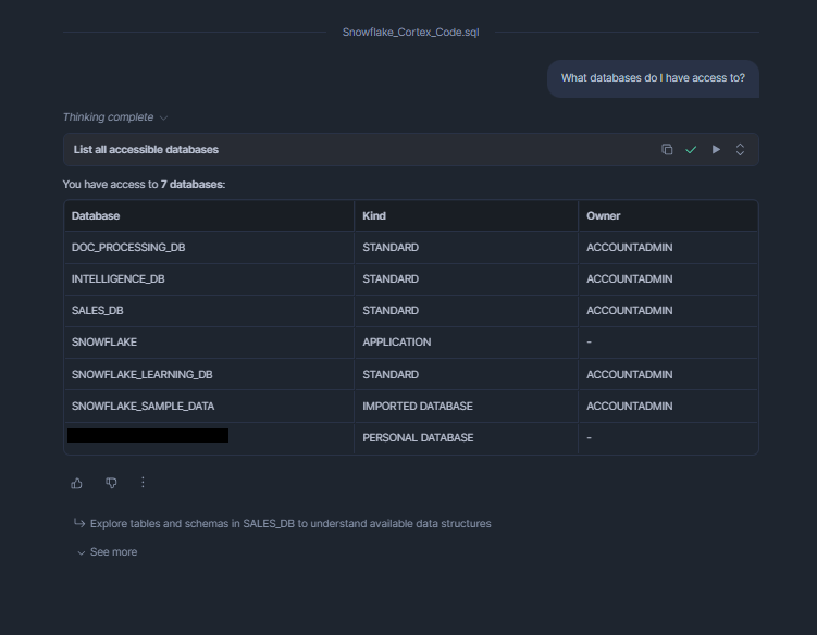 Submitting a natural language question to the Cortex Code agent—Snowflake Cortex Code