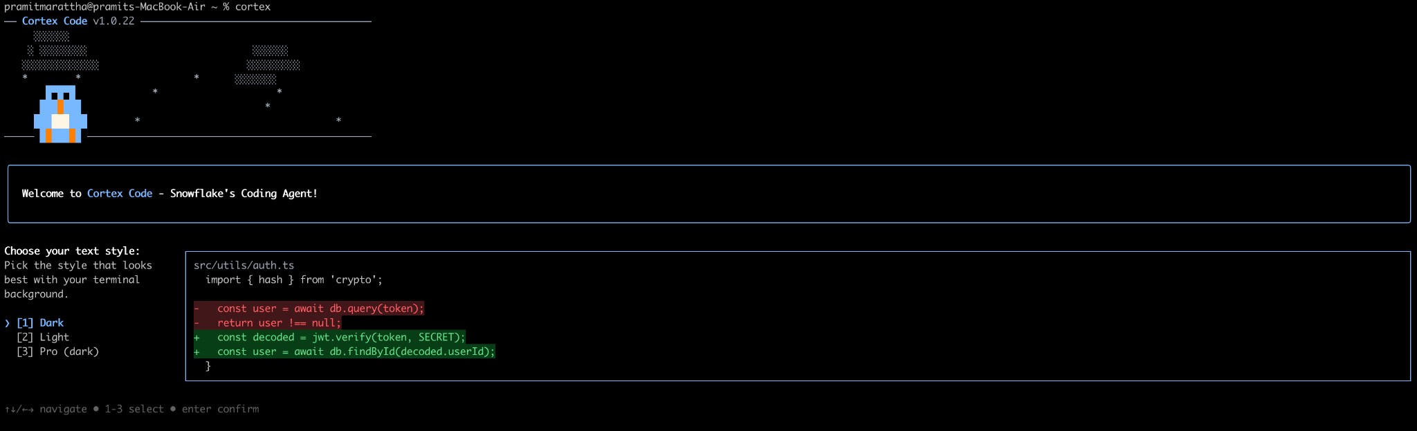 Selecting the text display style within the Cortex interactive setup wizard—Snowflake Cortex Code CLI