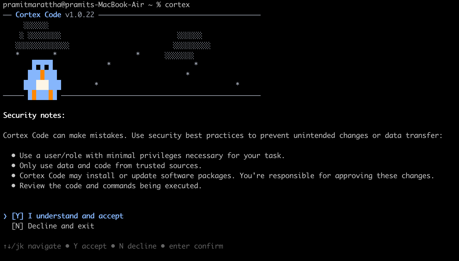 Reviewing and accepting the security and data privacy usage terms—Snowflake Cortex Code CLI