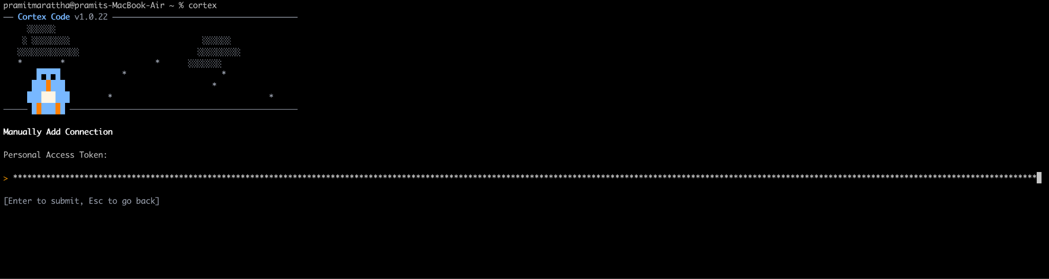 Pasting the generated secret token into the terminal's hidden input field—Snowflake Cortex Code CLI