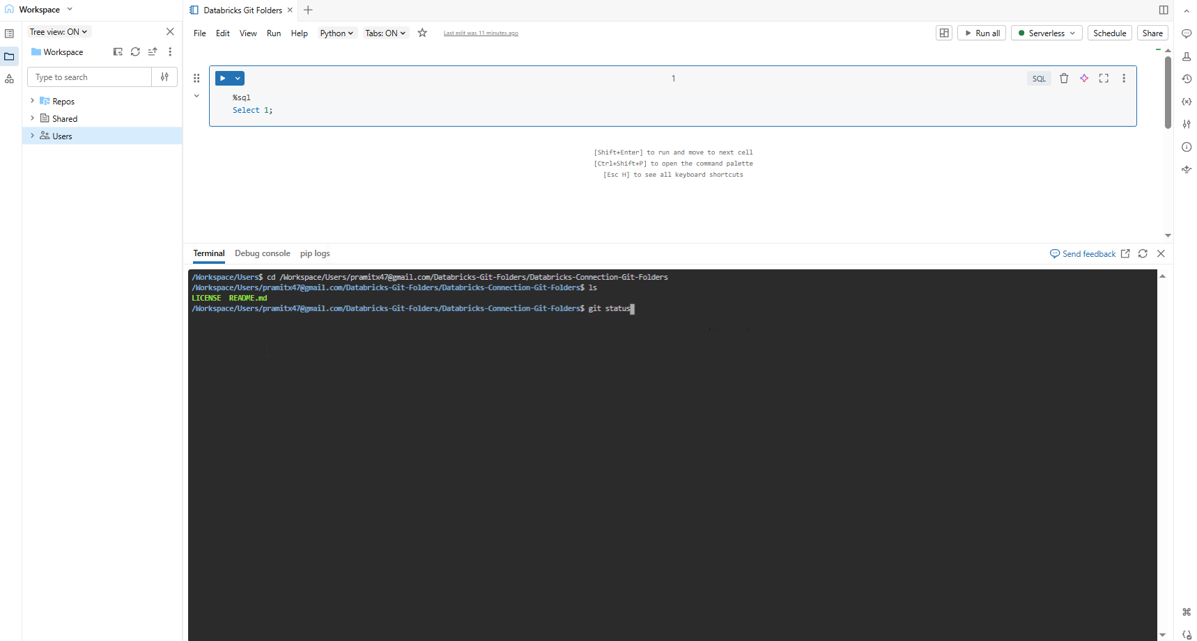 Running standard Git CLI commands from the Databricks web terminal—Databricks Git folders 