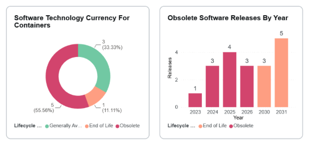 Screenshots of Flexera's Software Technology Currency for Containers and Obsolete Software Releases by Year