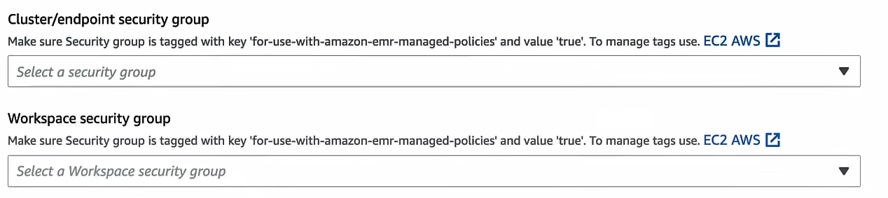 Selecting Security Groups - AWS EMR – AWS EMR Studio – EMR Studio – AWS EC2 – EC2 instance – AWS S3 – AWS KMS – AWS VPCs – AWS Identity and Access Management – AWS IAM – AWS VPC – AWS VPC endpoints – AWS EKS – Elastic Kubernetes Service – AWS SSO – AWS Identity Center – AWS Spot Instances – AWS Subnets – Subnet in AWS – EMR Serverless – EMR Cluster – EMR on EKS – S3 Encryption – KMS Encryption – EC2 Security Groups – EC2 Key Pair – EMR Instance Types – EMR Notebooks