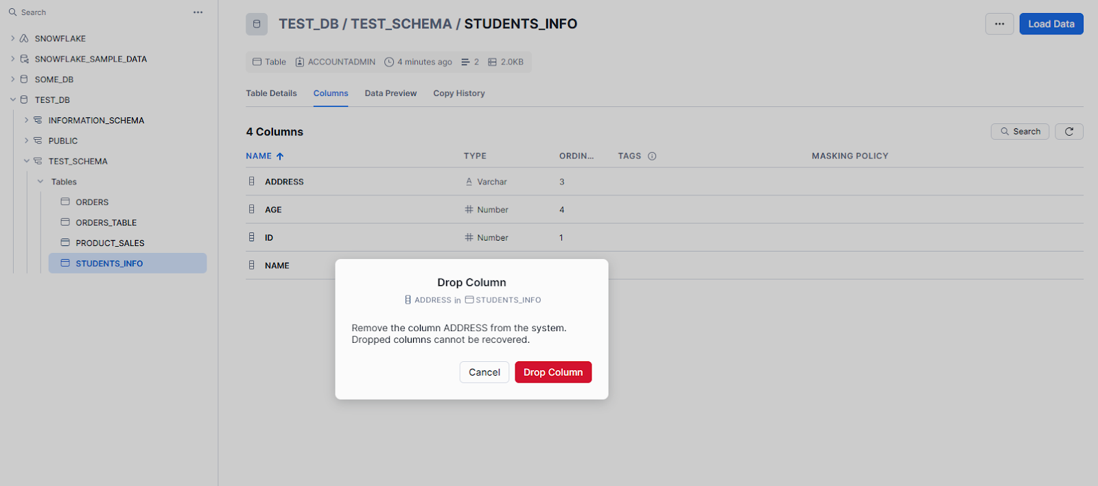 Confirm Snowflake DROP COLUMN Action - Snowflake DROP COLUMN - drop column Snowflake - alter table drop column Snowflake - drop column in snowflake - Snowflake drop column if exists