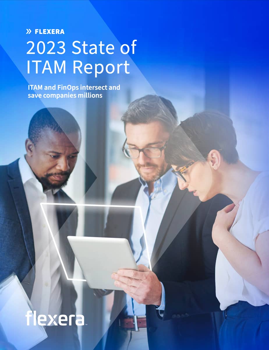 2023 State of ITAM Report
