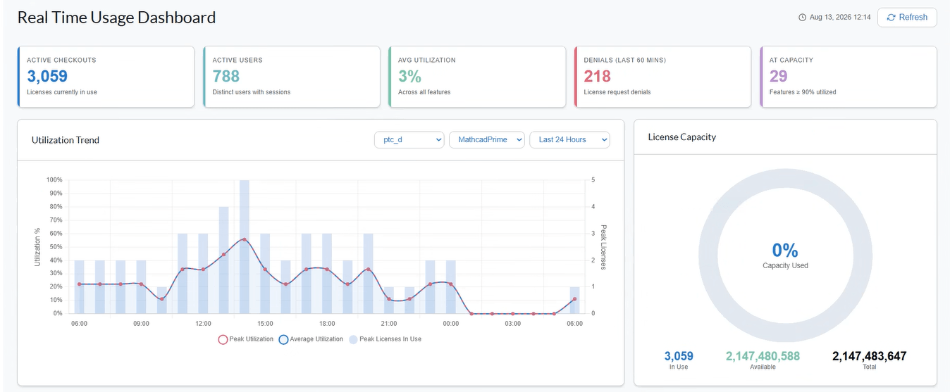 flexnet manager real time usage 