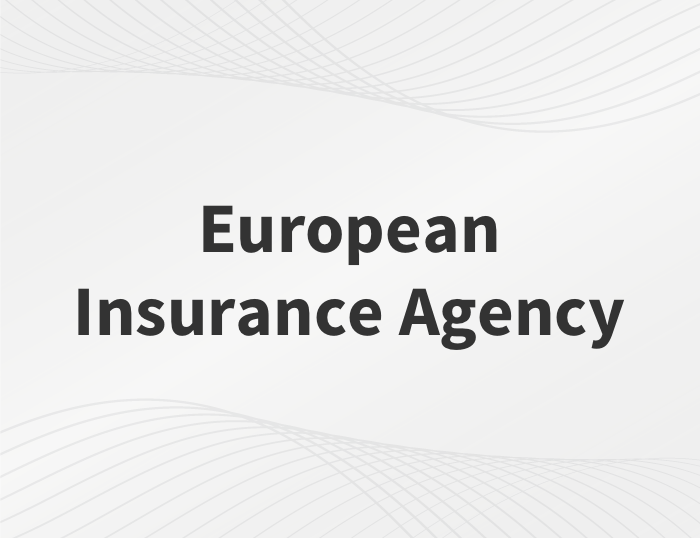 European Insurance Agency case study