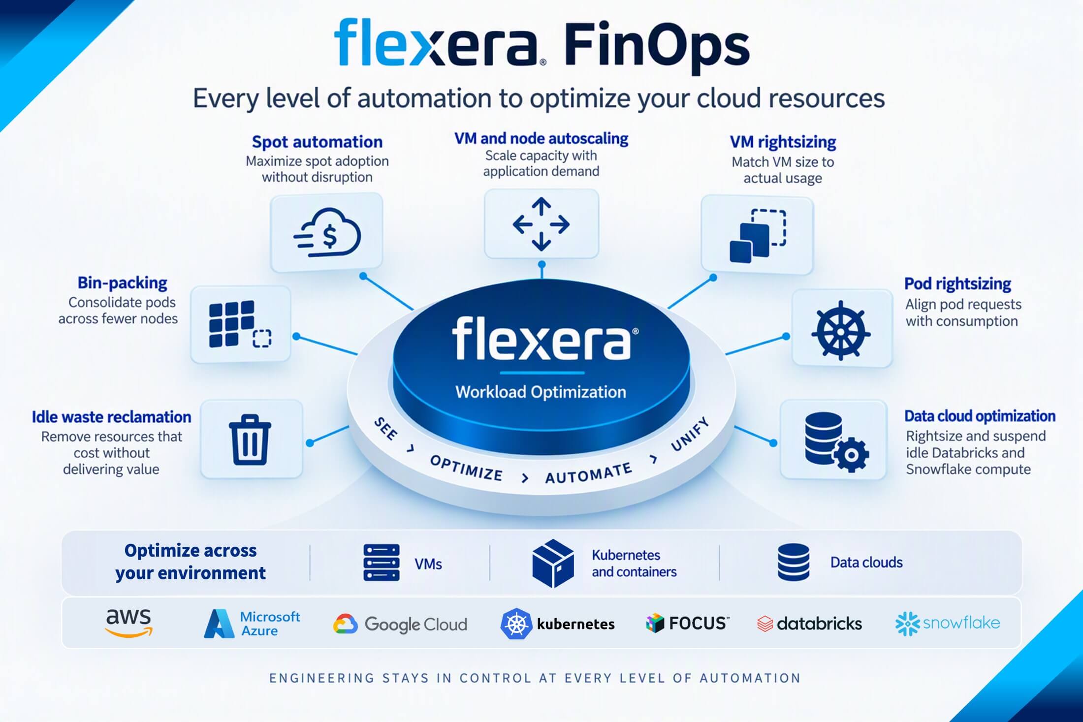 flexera one finops