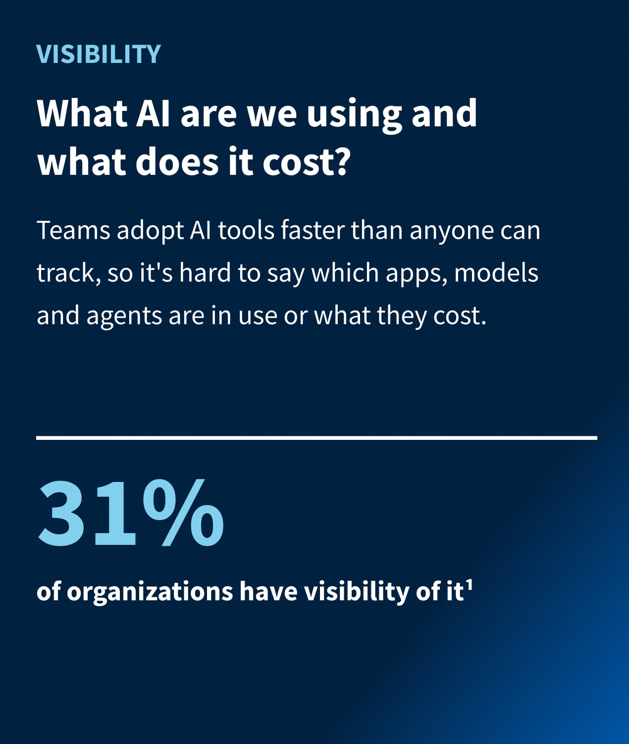 Visibility: What AI are we using and what does it cost?